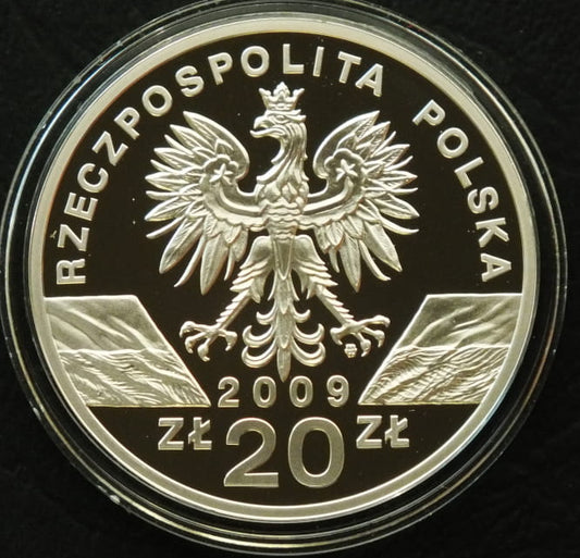 20 zł Jaszczurka zielona (łac. Lacerta viridis)