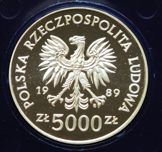 5000 zł Żołnierz na frontach II Wojny Światowej - Westerplatte