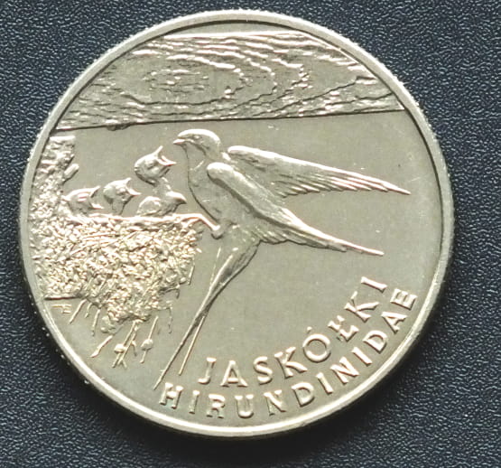 20 000 zł Jaskółki