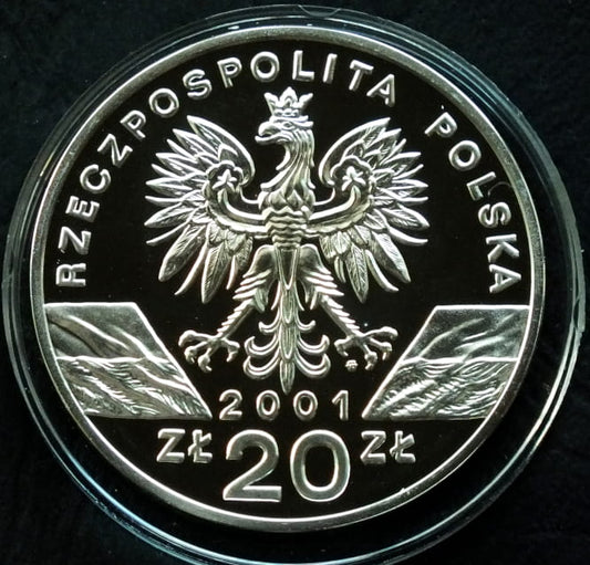 20 zł Paź Królowej (łac. Papilio machano)