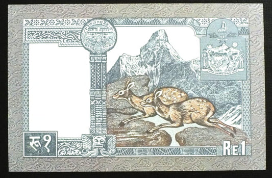 1 Rupee - Nepal 1981 r.