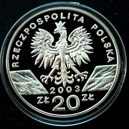 20 zł Węgorz europejski (łac. Anguilla anguilla)