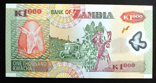 1000 Kwacha - Zambia