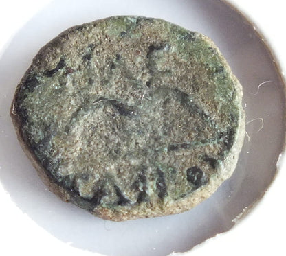 AE-10 Pergamon -królestwo Filetajros 284-263 p.n.e.