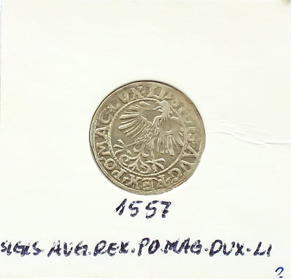 Półgrosz 1557 Zygmunt II August