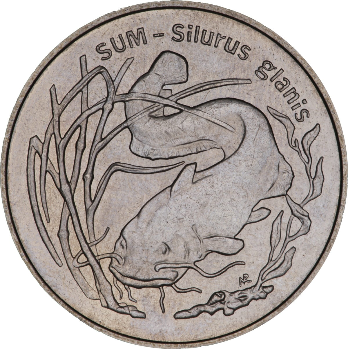2 zł Zwierzęta świata: Sum (łac- Silurus glanis)