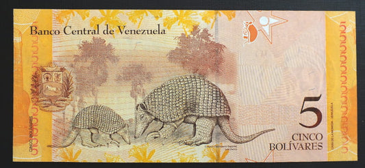 5 Bolivares - Wenezuela 2007 r.