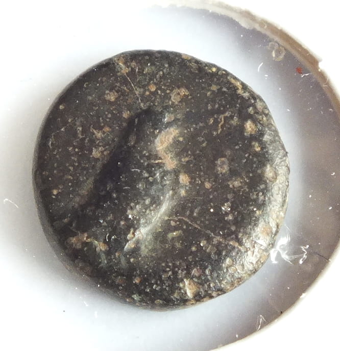 AE-9 Kyme w Eolii 280 P.n.e. Orzeł