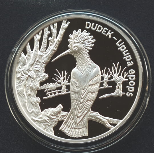 20 zł Dudek (łac. Upupa epops)