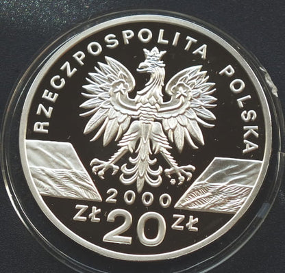 20 zł Dudek (łac. Upupa epops)