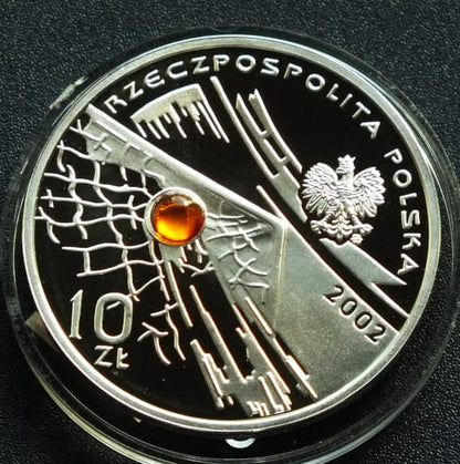 Mistrzostwa Świata w Piłce Nożnej 2002 Korea/Japonia z bursztynem