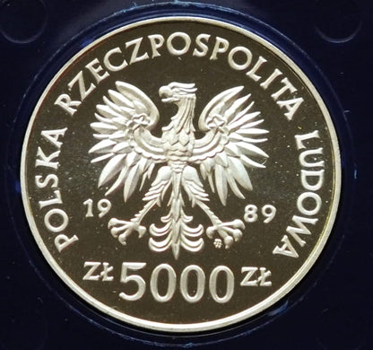 5000 zł Żołnierz na frontach II Wojny Światowej - Westerplatte