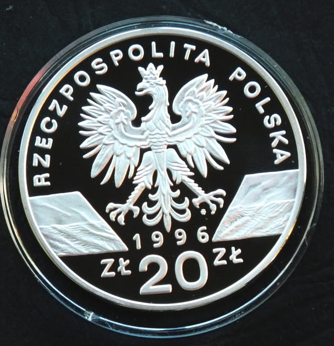 20 zł Jeż (łac. Erinaceus europaeus)