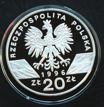 20 zł Jeż (łac. Erinaceus europaeus)