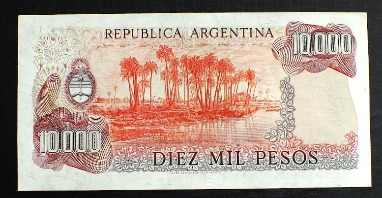 10000 pesos - Argentyna