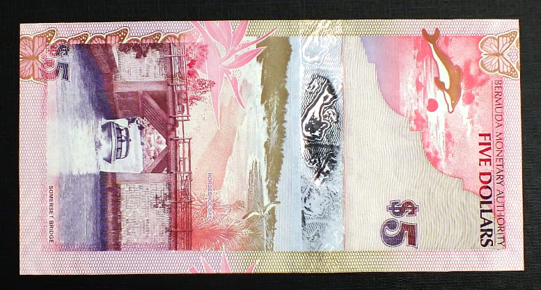 5 Dolarów - Bermuda