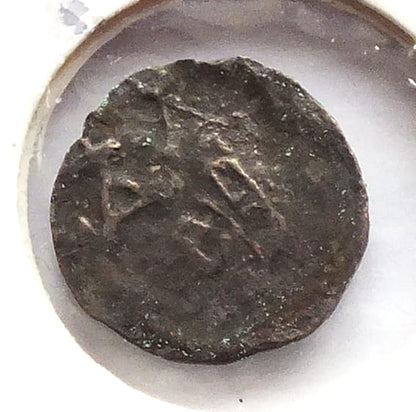 Denar XIV w Księstwo Pomorskie - Szczecin