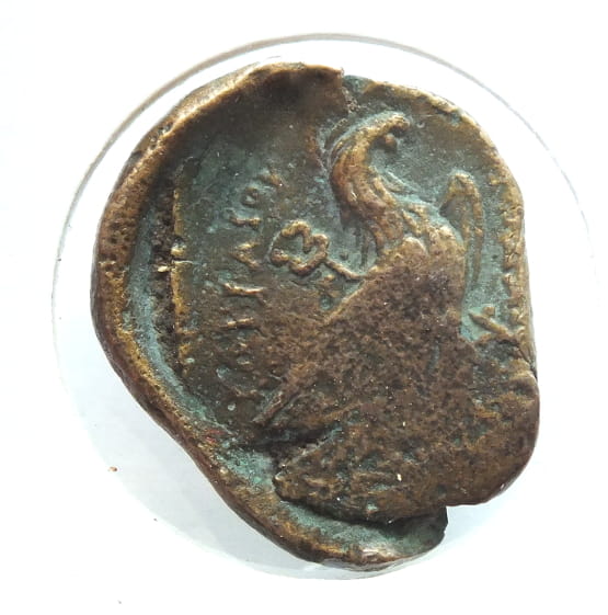 Diobol Egipt Ptolemejski III-II p.n.e