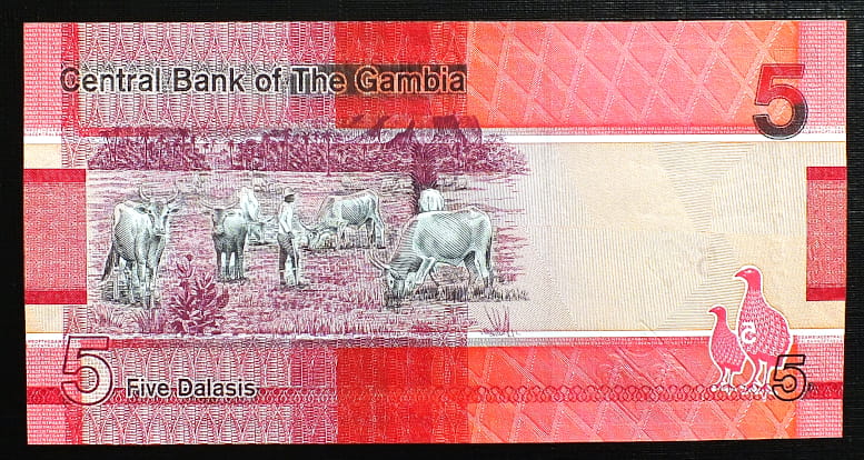 5 Dalasis - Gambia 2019 r.