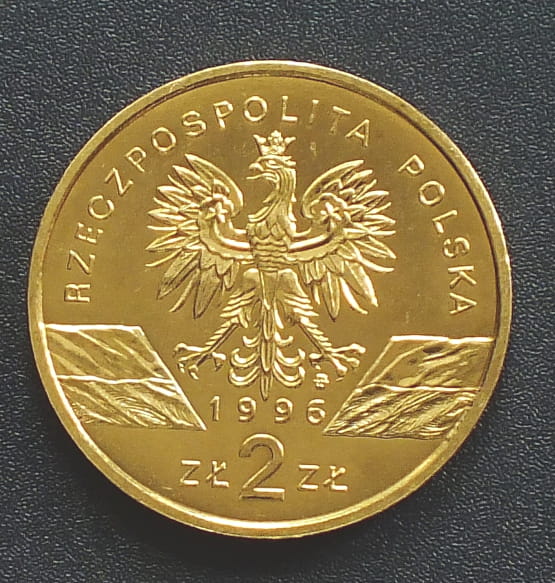 2 zł Jeż (łac. Erinaceus europaeus)