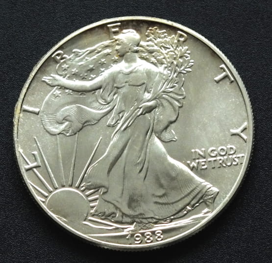 1 USD Liberty 1988 1 OZ