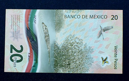 20 Pesos - Meksyk 2021 r.