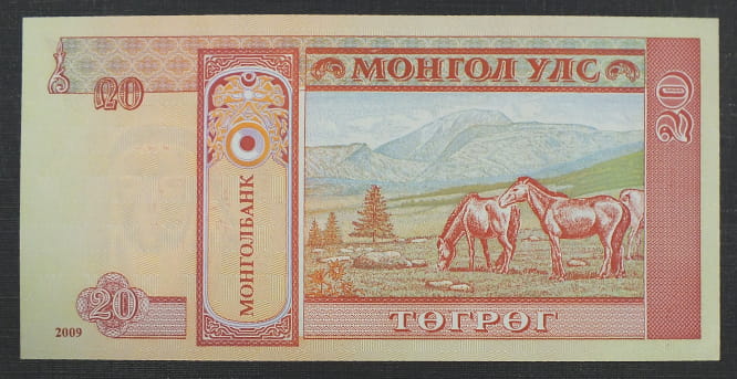 20 Turgik - Mongolia 2009 r.