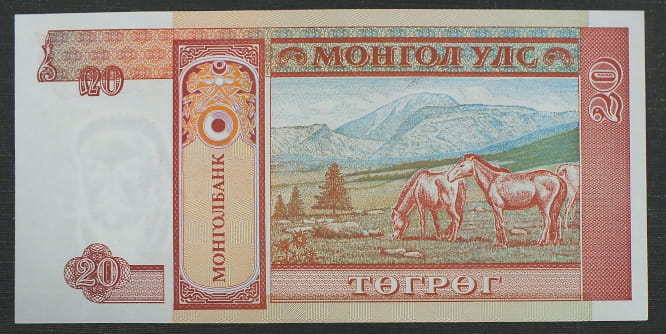 20 Turgik - Mongolia 1993 r.