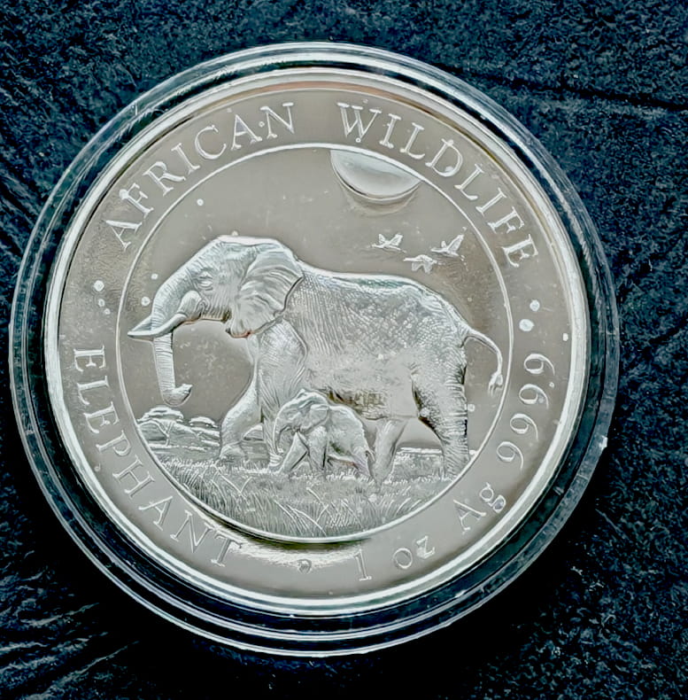 Somalia100 szylingów  African Wildlife - Słoń (1 OZ Ag) - 2022 r.