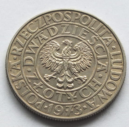 20 zł Kwitnące Drzewo Próba