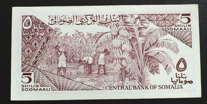 5 Szylingów - SOMALIA