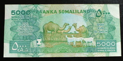 5000 Szylingów - Somaliland