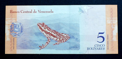 5 Bolivarer - Wenezuela 2018 r.