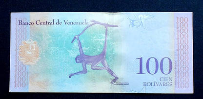 100 Bolivarer - Wenezuela 2018 r.