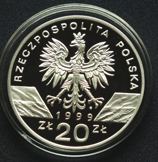 20 zł Wilk (łac. Canis lupus)