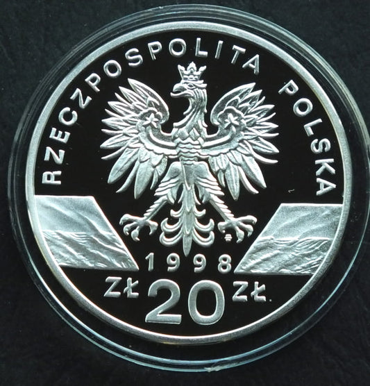 20 zł Ropucha paskówka